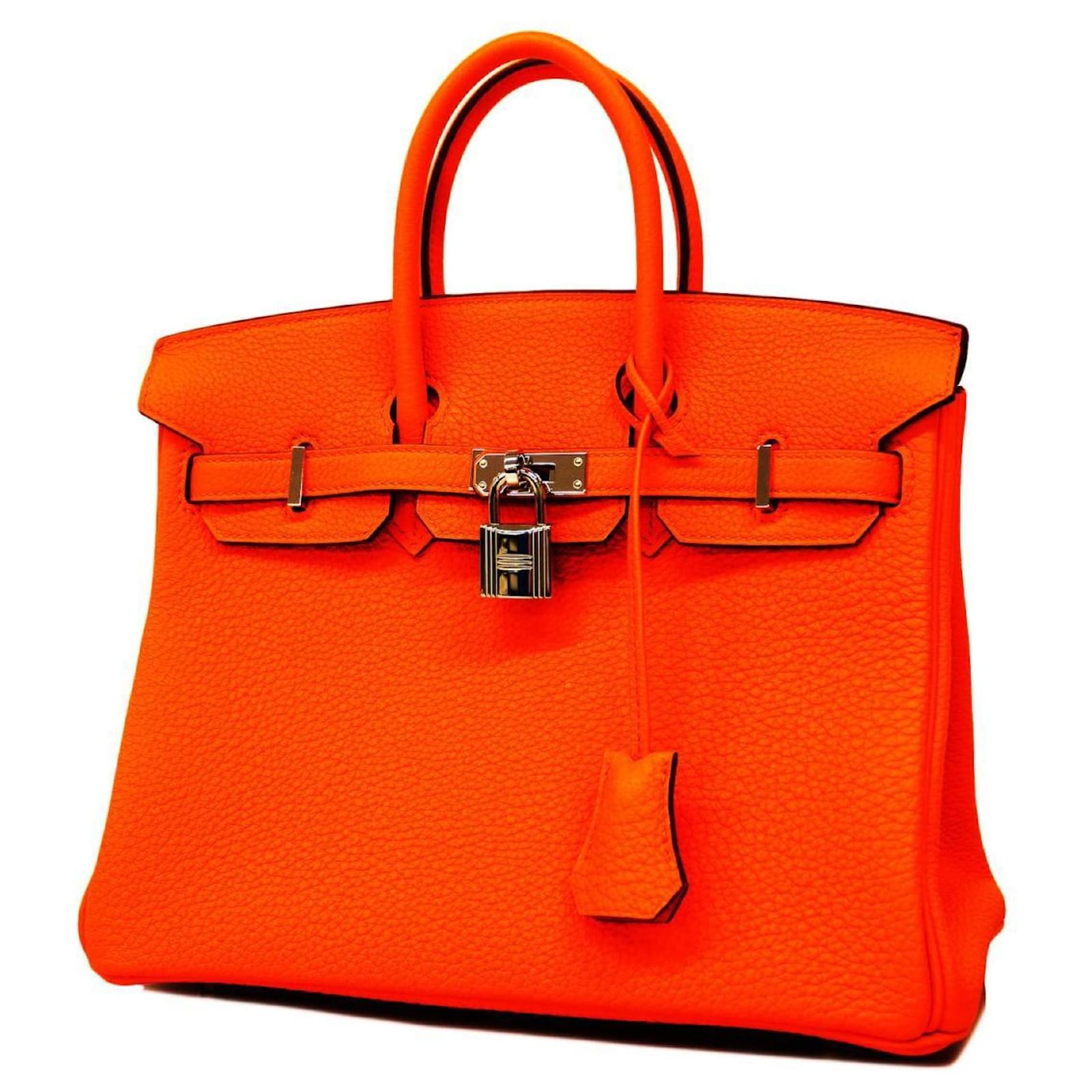 Hermes Birkin Interior View