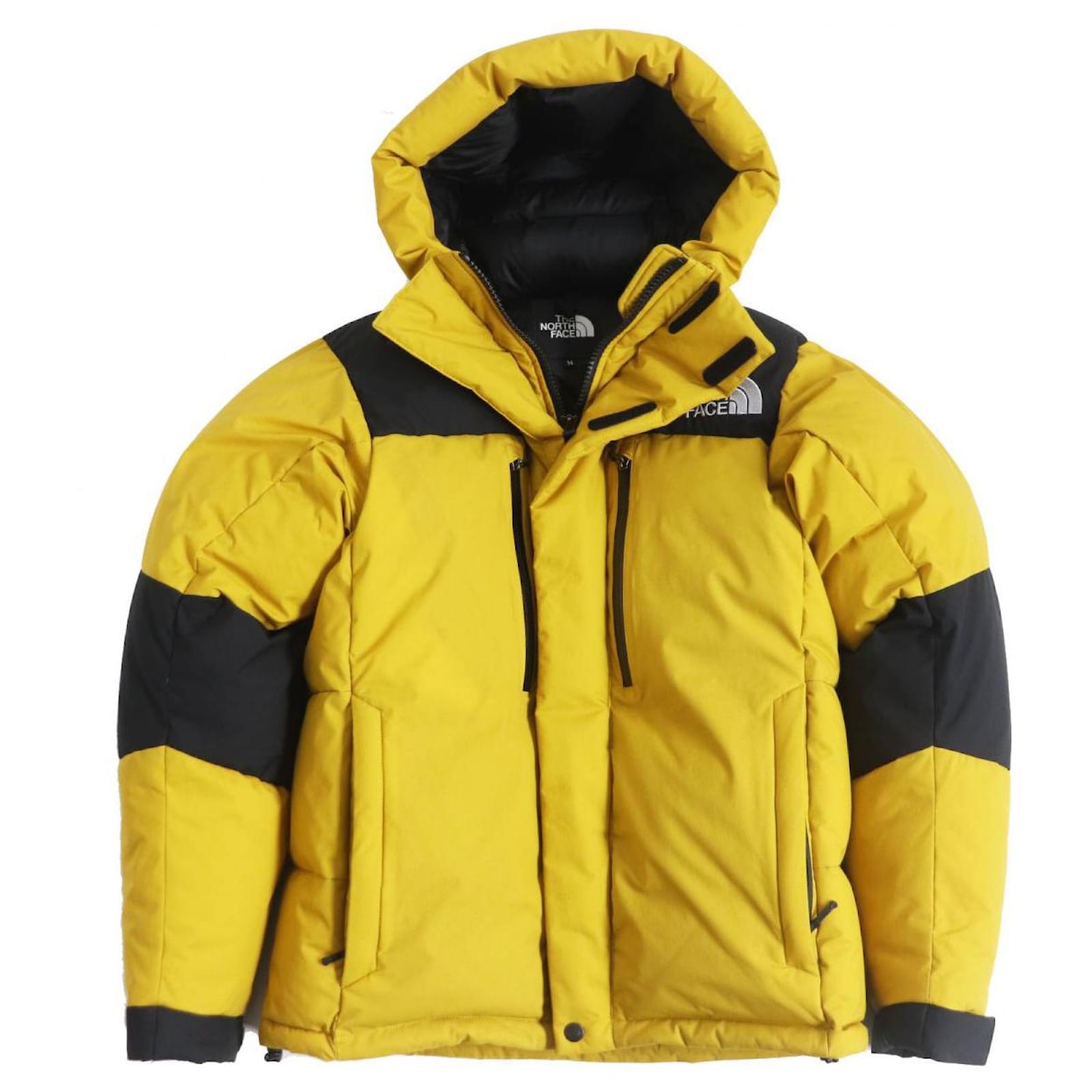 Autre Marque The North Face Gore-Tex Baltro Lite Hooded Down