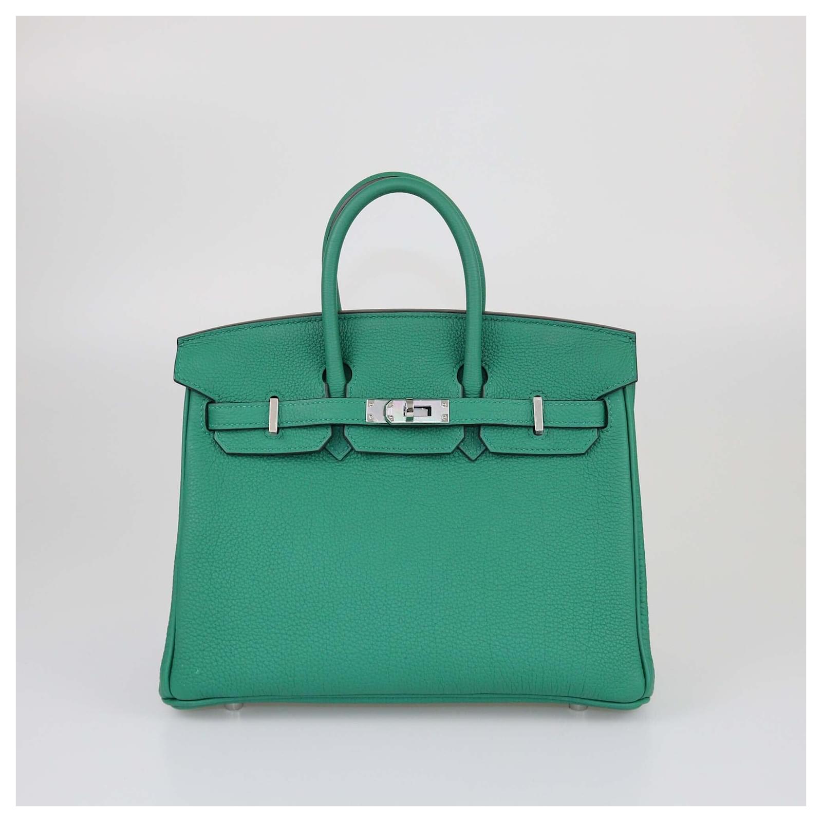 Hermès Birkin 30 Back View