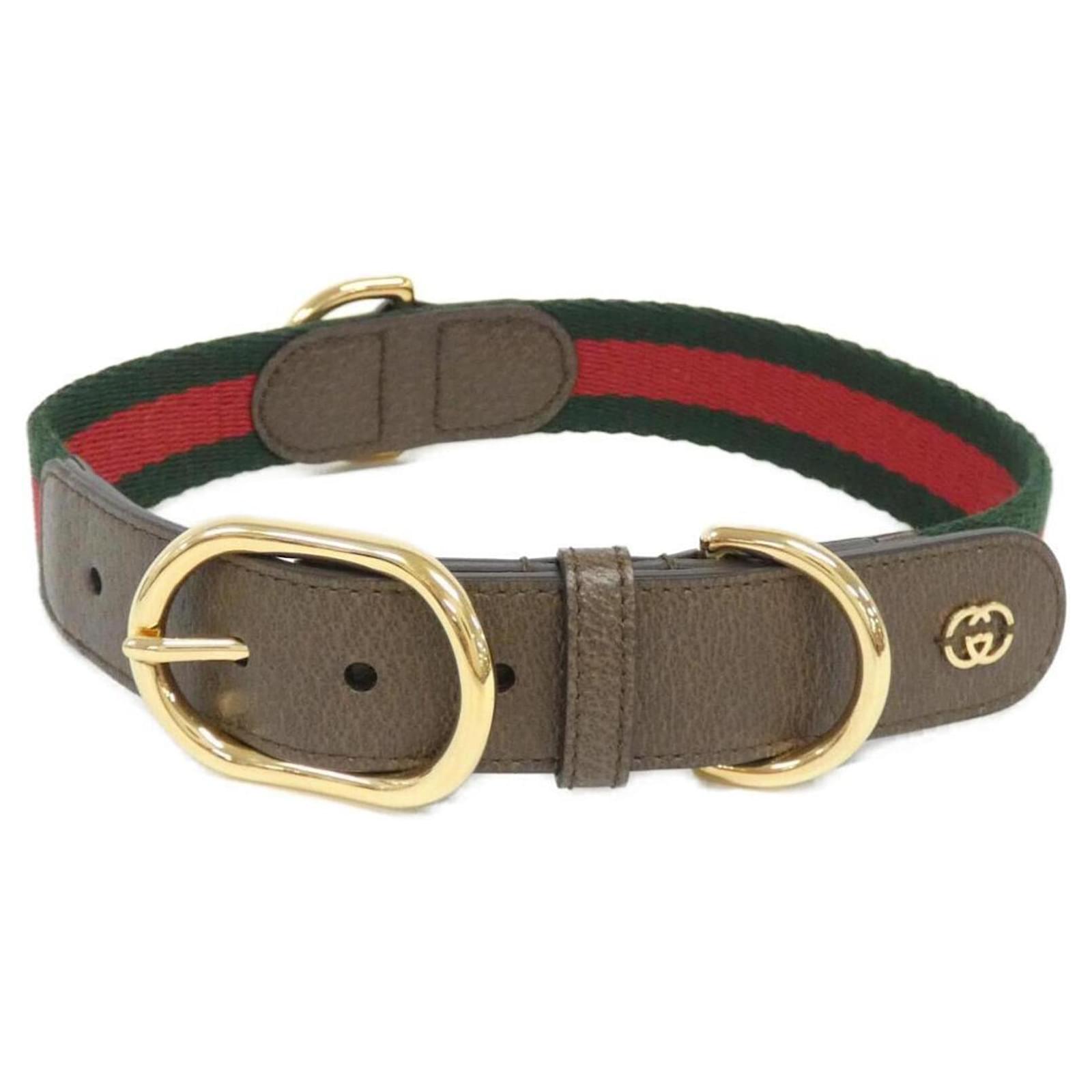 hundeleine leder Hochwertige Hundeleine "Ludi" aus Leder