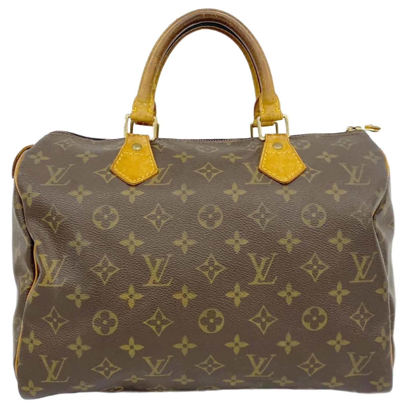 louis vuitton handbag speedy 30