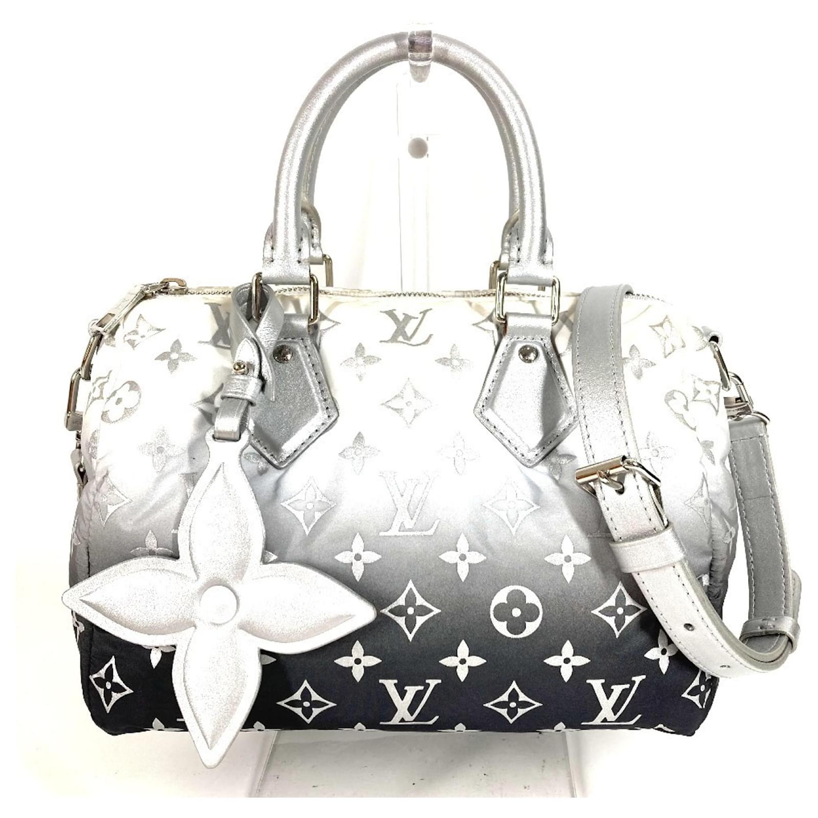 Louis Vuitton M11848 LV Ski Speedy Bandouliere 25 Bag Silvery